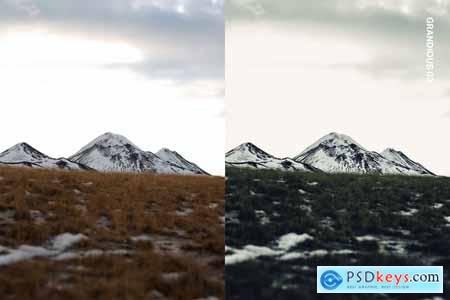 20 Tundra Lightroom Presets and LUTs
