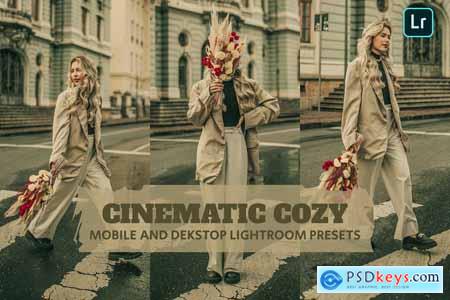 Cinematic Cozy Lightroom Presets Dekstop Mobile