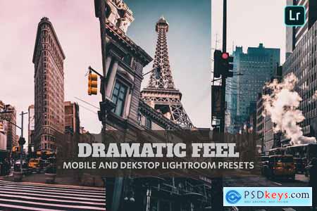 Dramatic Feel Lightroom Presets Dekstop and Mobile