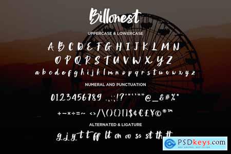 Billonest - Modern Script fonts