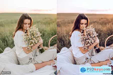 Picnic Outdoor Rustic Cinematic Lightroom Presets