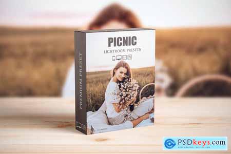 Picnic Outdoor Rustic Cinematic Lightroom Presets