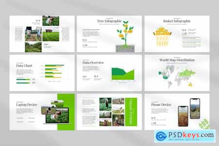 Agriculture Presentation Template