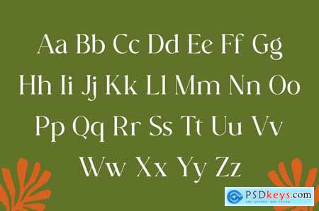 Vangoca - Display Serif Font
