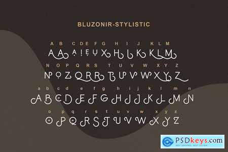 Bluzonir Stylish Sans Serif Font