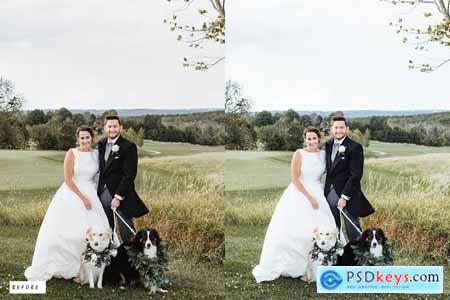 30 Wedding Classic Lightroom Presets