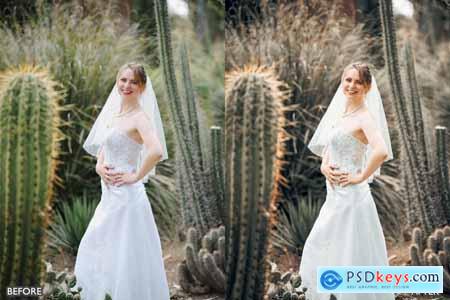 50 Wedding Preset Pack for Lightroom and Photoshop