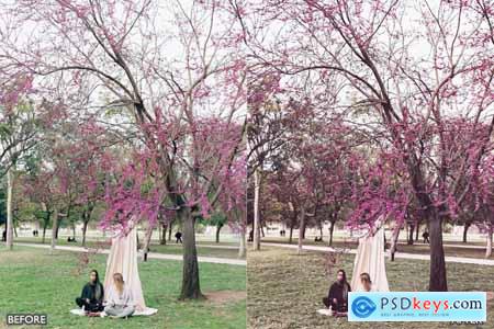 Outdoor Bright Nature Clean Lightroom Presets