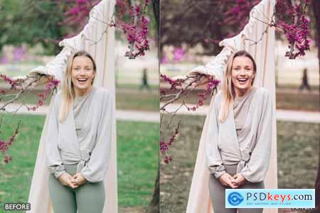 Outdoor Bright Nature Clean Lightroom Presets