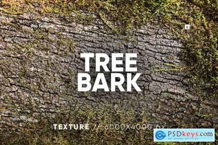 30 Tree Bark Textures HQ