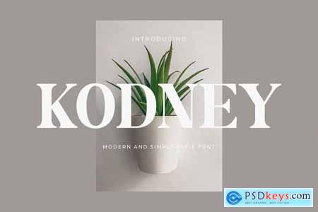 Kodney - Modern Serif Font