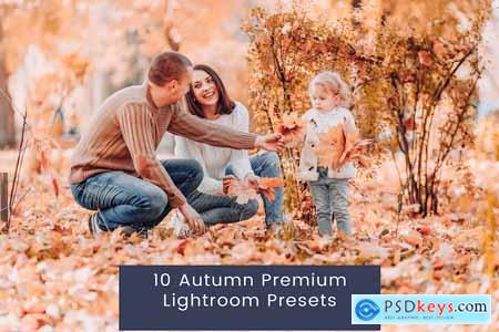 10 Autumn Premium Lightroom Presets