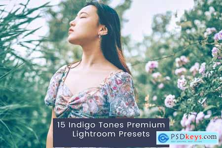 15 Indigo Tones Premium Lightroom Presets