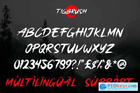 Tigbrush - Natural Brush Font