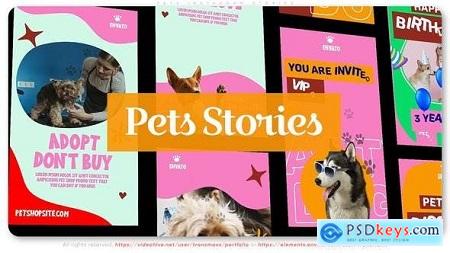 Pets Instagram Stories 46054242