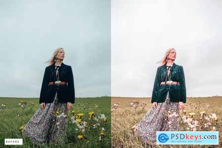 15 Lithium Quartz Premium Lightroom Presets