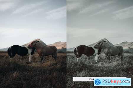 20 Lunar Pearl Lightroom Presets and LUTs