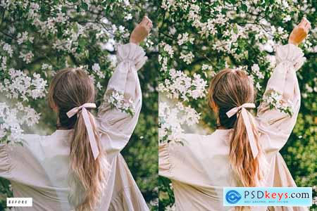 15 Jasmine Premium Lightroom Presets