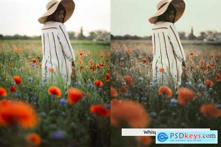 20 Bohemian Dream Lightroom Presets and LUTs