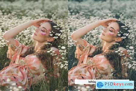 20 Bohemian Dream Lightroom Presets and LUTs