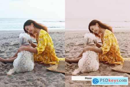 20 Bohemian Dream Lightroom Presets and LUTs