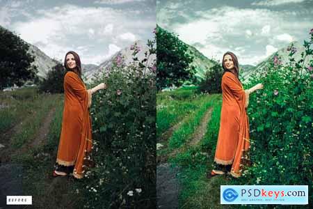 15 Forsterite Premium Lightroom Presets