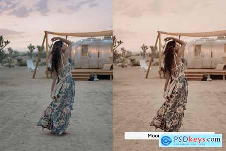 20 Bohemian Dream Lightroom Presets and LUTs