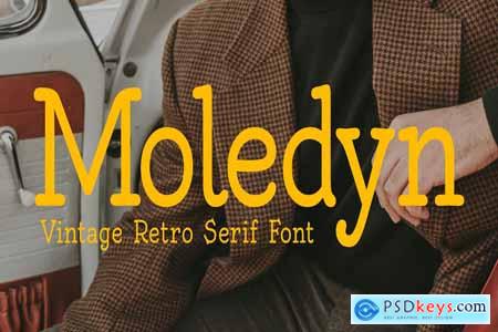 Moledyn Font  Vintage Retro Serif Font