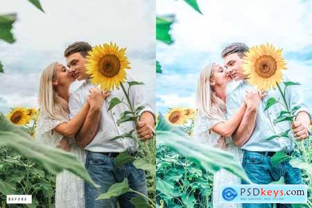 15 Iolite Topaz Premium Lightroom Presets