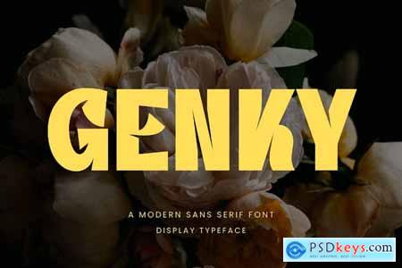 Genky Modern Sans Serif Font Typeface