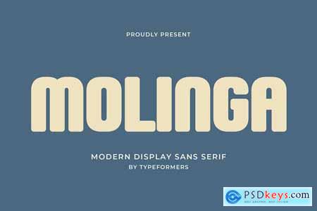 Molinga - Modern Display Sans Serif