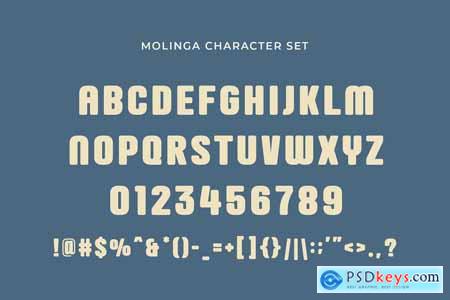 Molinga - Modern Display Sans Serif
