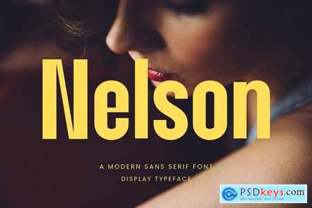 Nelson Modern Sans Serif Font Typeface
