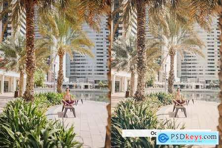 20 Dubai Lightroom Presets and LUTs