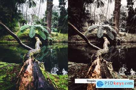 20 Wild Jungle Lightroom Presets & LUTs