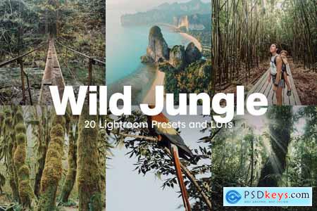 20 Wild Jungle Lightroom Presets & LUTs