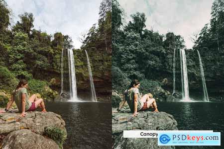 20 Wild Jungle Lightroom Presets & LUTs