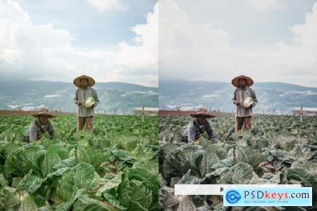 20 Farmer Lightroom Presets and LUTs