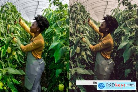 20 Farmer Lightroom Presets and LUTs