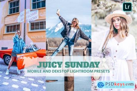 Juicy Sunday Lightroom Presets Dekstop and Mobile