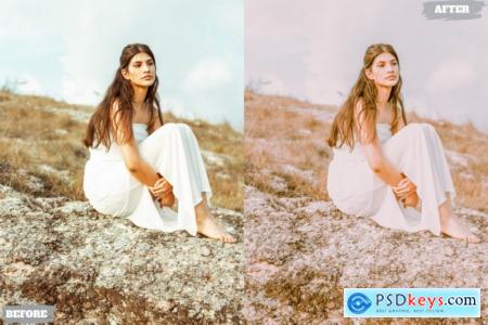 Boho Style Lightroom Presets Dekstop and Mobile