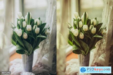 Best Landscape and Nature Lightroom Presets