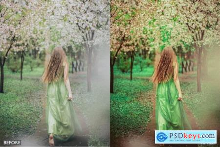 Best Landscape and Nature Lightroom Presets