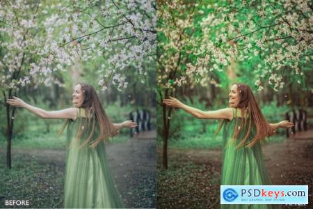 Best Landscape and Nature Lightroom Presets