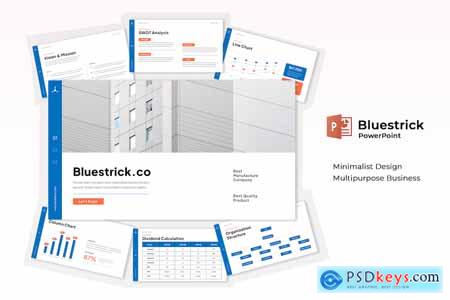 Bluestrick - Multipurpose Business Company Profile