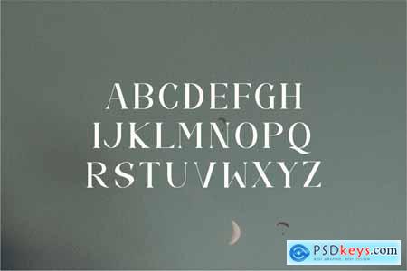 Camelia Elegant Serif Font