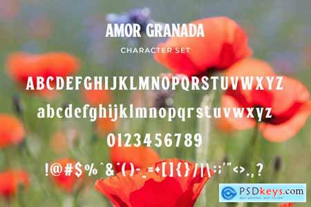Amor Granada - Classic Display Serif