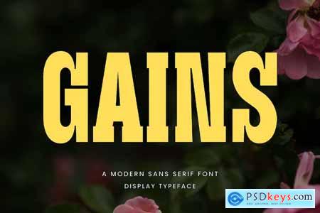 Gains Modern Serif Font Typeface