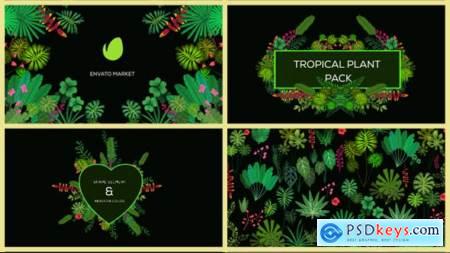 Tropical Plant Pack 20676721