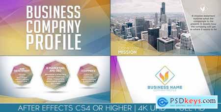 Business Company Profile 20274491